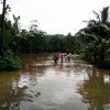 flood